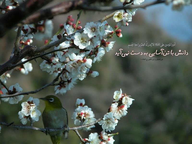 حدیث هفته 4 فروردین